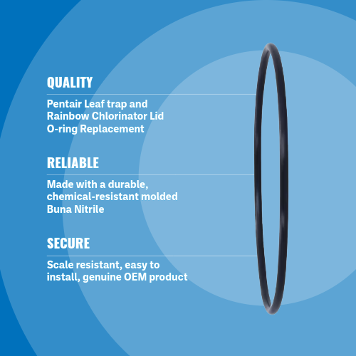 Pentair R172223 Rainbow Leaf Trap O-Ring Blue Background Specs Image