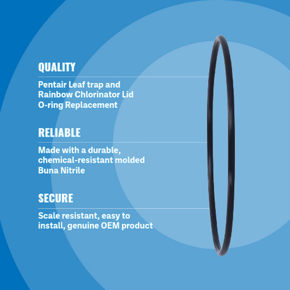 Pentair R172223 Rainbow Leaf Trap O-Ring Blue Background Specs Image