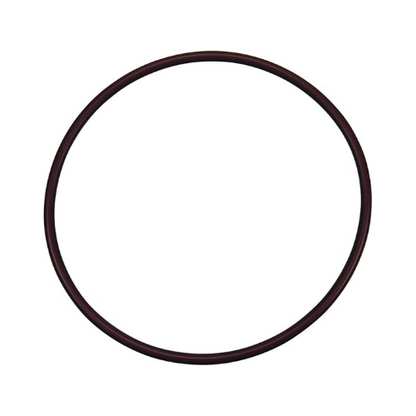 Pentair R1722400 Lid to Housing O-Ring 