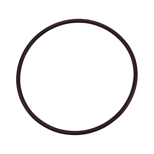 Pentair R1722400 Lid to Housing O-Ring 