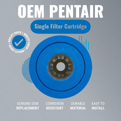 Pentair R173576 420 Clean and Clear Single Filter Cartridge Grey Background