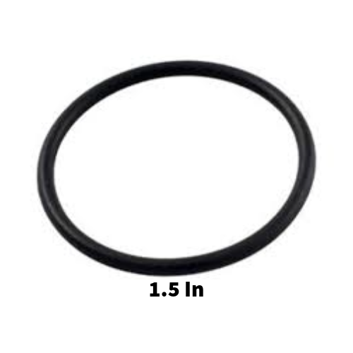 Pentair R172319 Rainbow #128 Bottom O-Ring White Background showing size