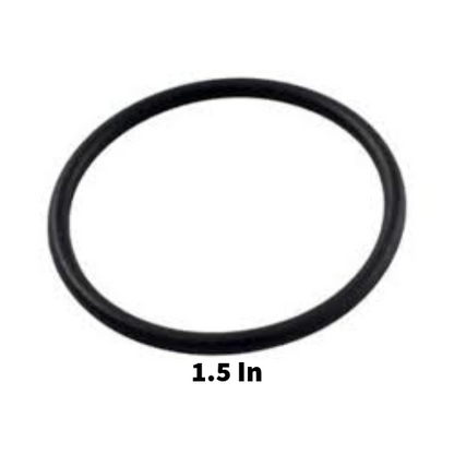Pentair R172319 Rainbow #128 Bottom O-Ring White Background showing size