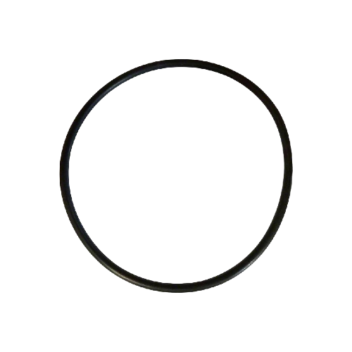 Pentair Rainbow 3" Cap O-Ring R172009Z