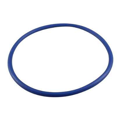 Pentair Strainer Cover O-Ring U9-229Z