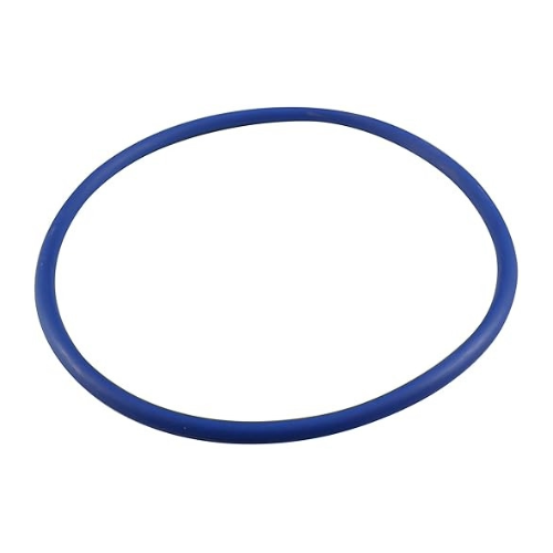 Pentair Strainer Cover O-Ring U9-229Z