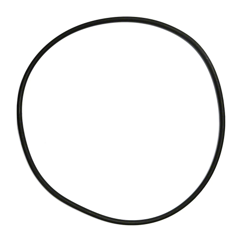 Pentair Clean & Clear/Posi-Clear/Predator Tank O-Ring | 87300400Z