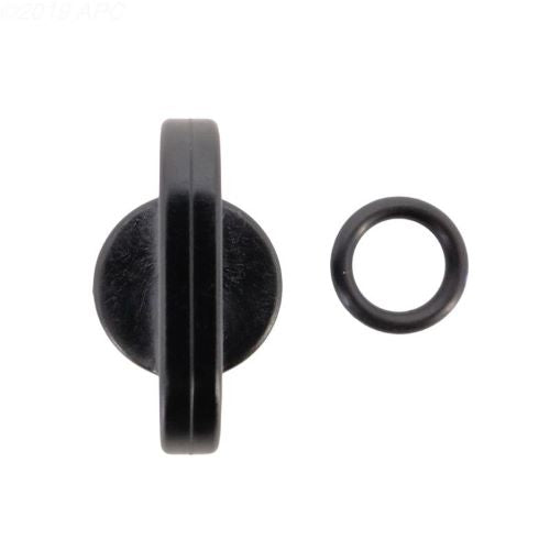 SPX4000FG Drain Plug and Gasket