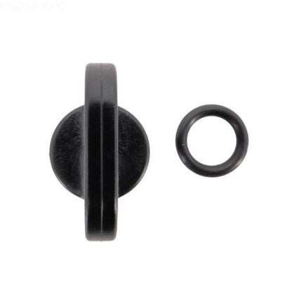 SPX4000FG Drain Plug and Gasket