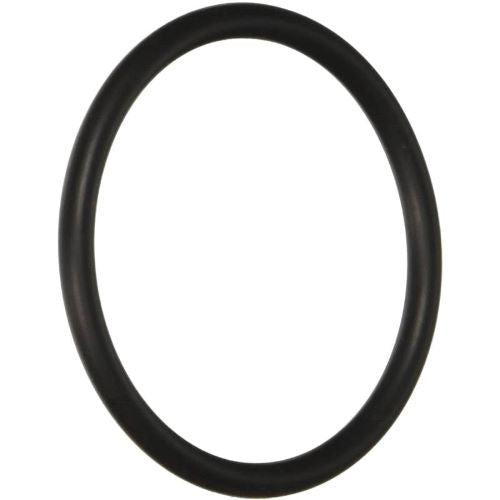 Hayward SX220Z2 Bulk Head O-Ring