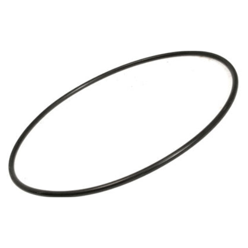 Pentair U9-228AZ Max-E-Pro Seal Plate O-Ring