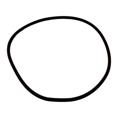 Pentair U9-373Z Black Replacement O-Ring
