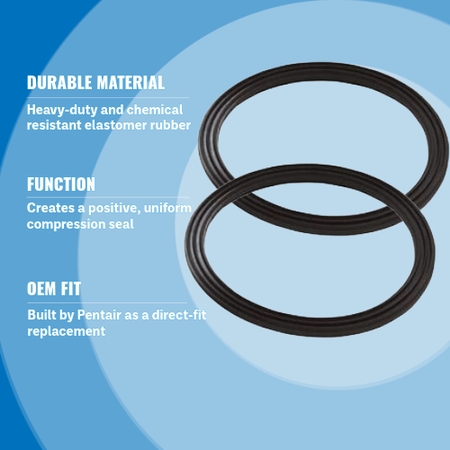 Pentair 410016Z Union Diamond Seal Kit 2.5" Highlights