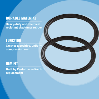 Pentair 410016Z Union Diamond Seal Kit 2.5" Highlights