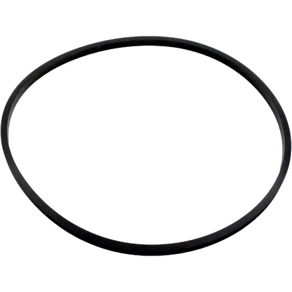 Pentair 357099Z Max-E-Pro IntelliPro Seal Plate Square O-Ring