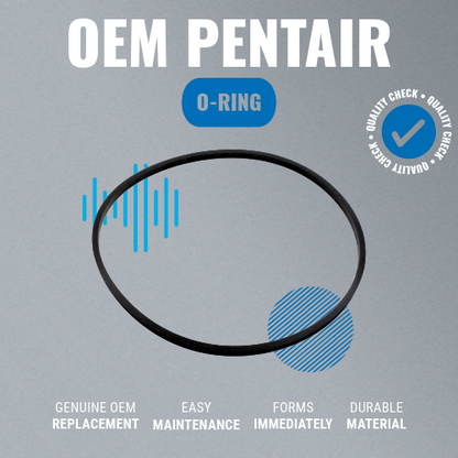Pentair 357099Z Max-E-Pro IntelliPro Seal Plate Square O-Ring  Features