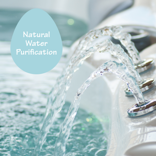 Natural Water Purification