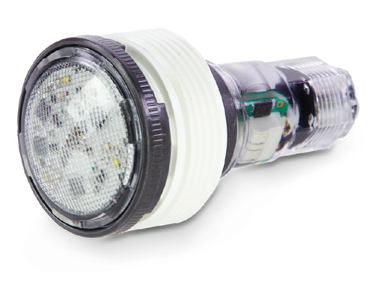 Pentair EC-620429 | MicroBrite White LED Light | 100' Cord