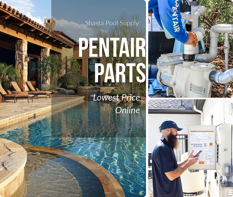 pentair parts lowest price online
