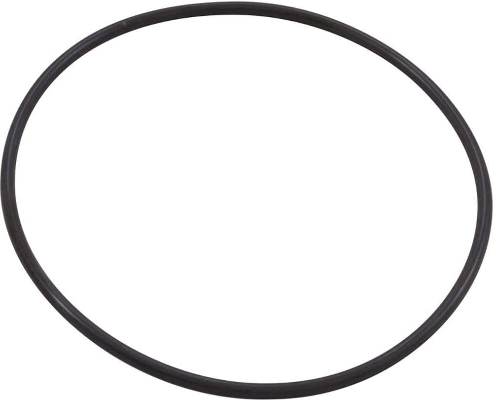 Pentair 351446 | Pool/Spa Seal Plate O-ring for Pumps