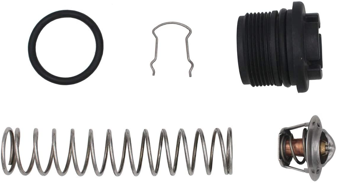 Sta-Rite Thermal Regulator Kit 77707_0010